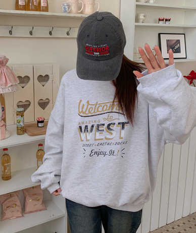 スーペリア刺繍ピグメントボールキャップ