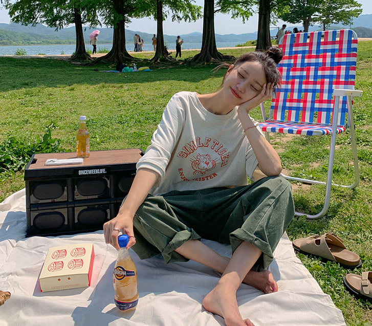 虎のひび割れ